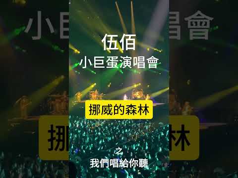 挪威的森林【伍佰 演唱會】