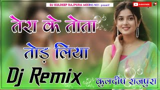 Tera Ke Tota Tod Liya Dj Remix || 4D Brazil Mix || New Haryanvi Dj Remix Song 2026