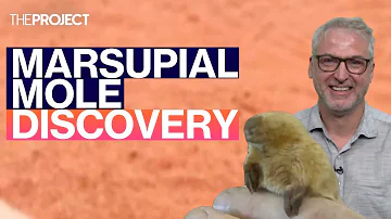The Bizarre Origin of Marsupial Moles
