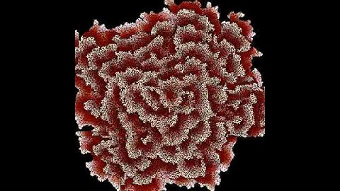 Blooming flakes cellular automata