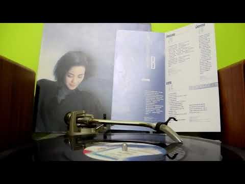 王靖雯 (王菲) - 愛聽謊言 [1989 黑膠] 同曲：甄妮 - 不要再重逢 (原曲：蔡琴 - 恰似你的溫柔)