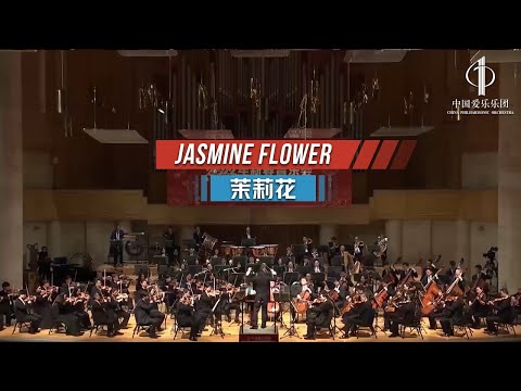 Jasmine Flower |