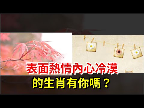 表面熱情內心冷漠的生肖有你嗎？，[星座運勢大全]