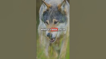 Type II Errors Consumer Risk