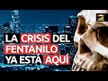 ¿Por qué ATERRORIZA al mundo la CRISIS del FENTANILO? - VisualPolitik