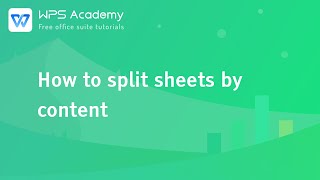 [WPS Academy] 1.8.2 Excel:How to split sheets by content