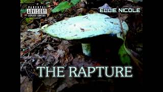 Watch Nicole Rapture video