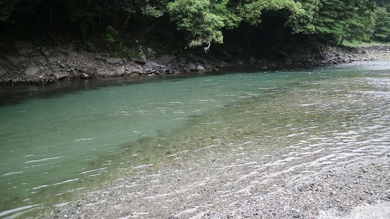 【癒し】みんなに川の流れる映像と自然の音を届けたい【Vol 5】【5分 ver 】 - YouTube