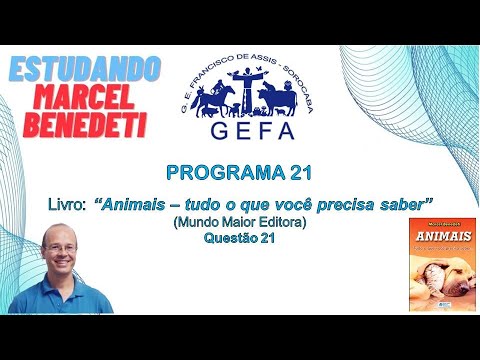 Assista: Estudando Marcel Benedeti - Programa 21 (19/11/2024)