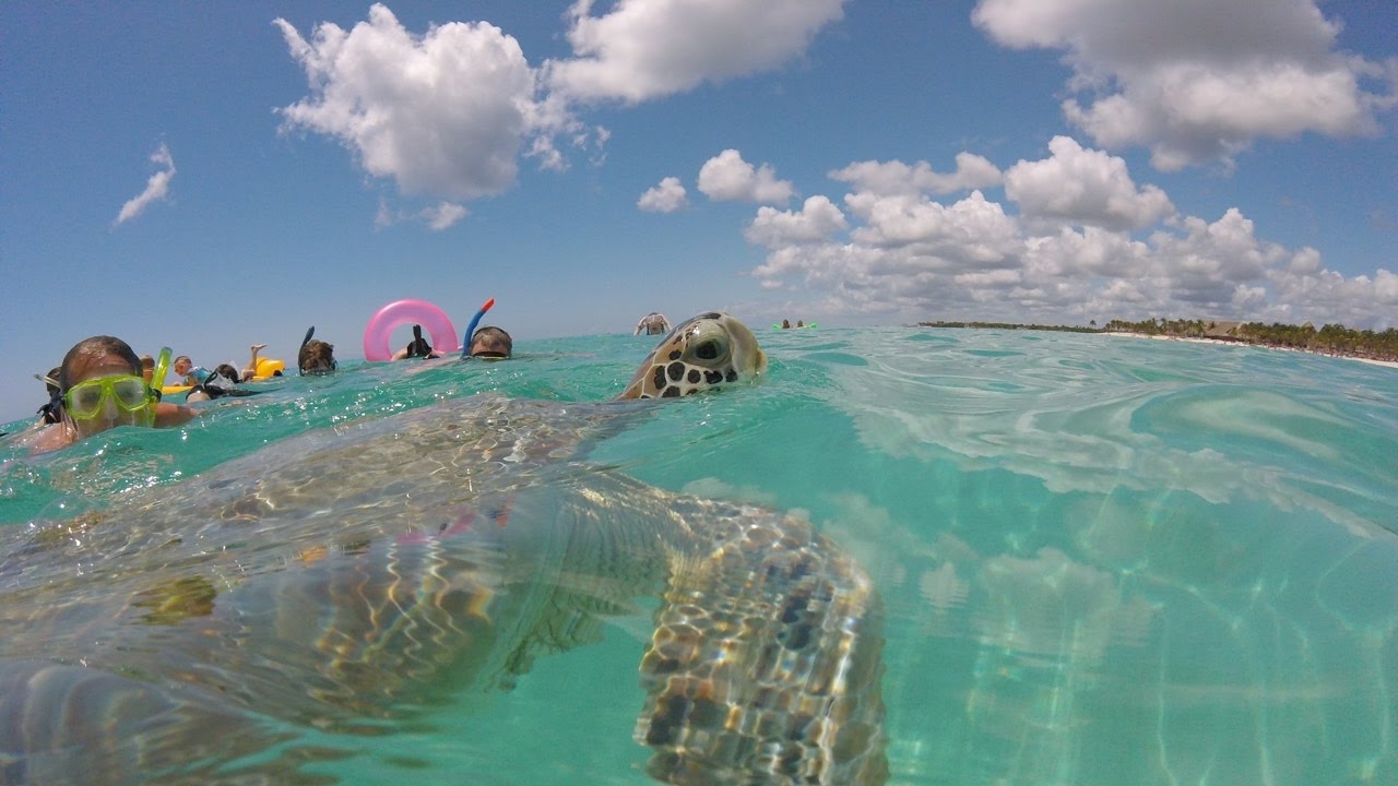 what is the riviera maya in mexico what is the riviera maya in mexico