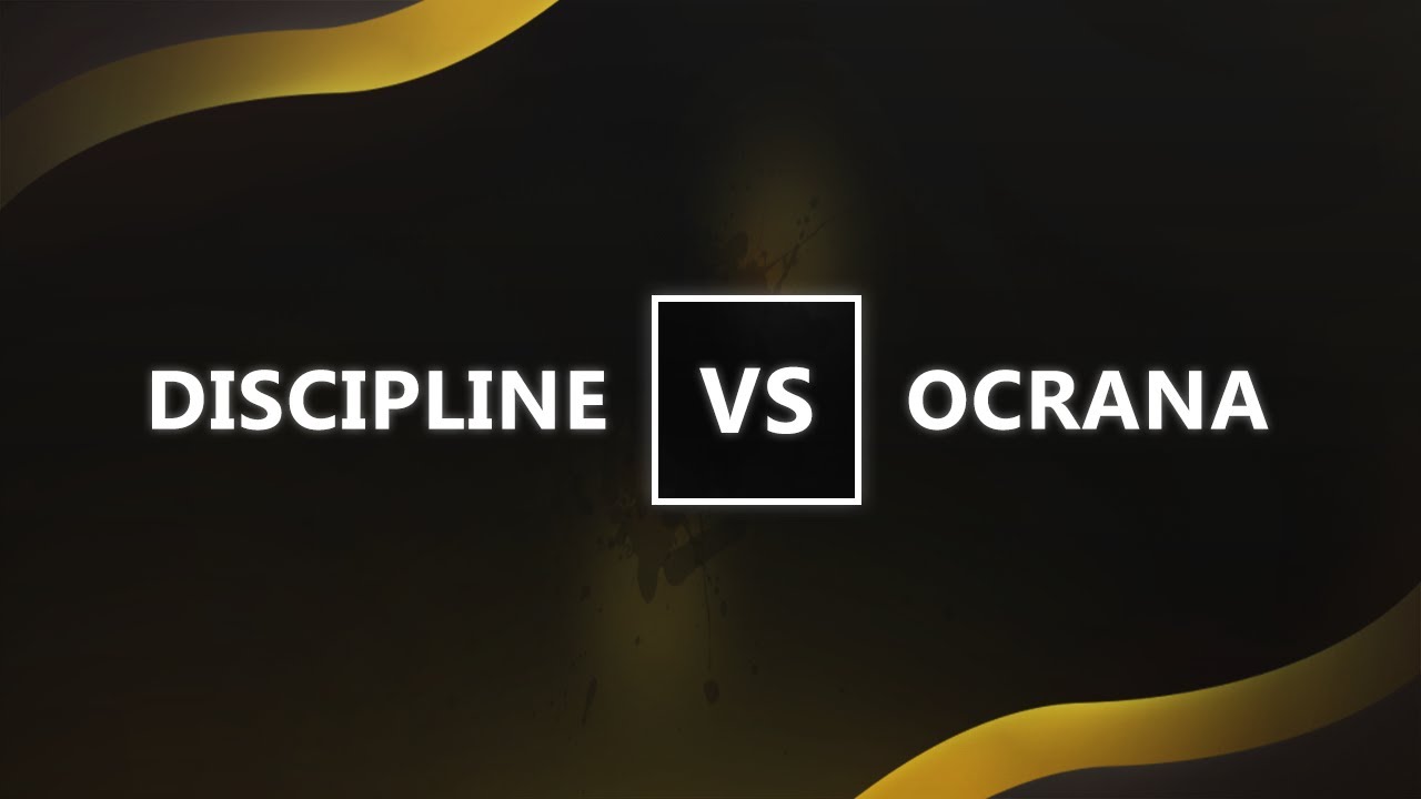 CoD1 | Discipline vs. OCRANA.ATI [carentan] » POV: crow
