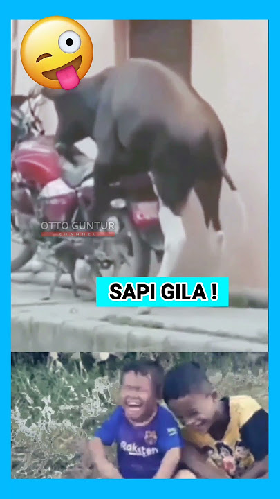 GILA ! Sapi kawin sama Motor #shorts #lucu #ngakak #anakmotor