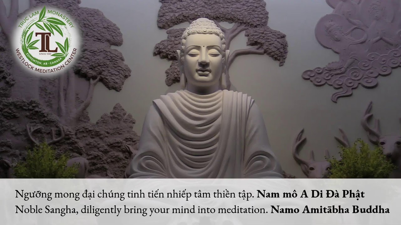 Ngồi Thiền Trước Pháp Thoại (7:30pm – Dec 3, 2022 – Trúc Lâm) Ngồi Thiền Trước Pháp Thoại (7:30pm – Dec 3, 2022 – Trúc Lâm)