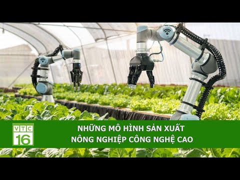 Những mô hình sản xuất nông nghiệp công nghệ cao