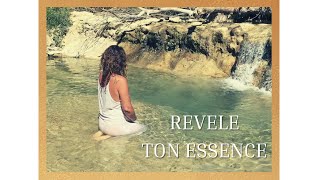 Video thumbnail of "Révèle ton essence - Clip officiel"