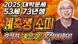✨2025년 '1973년생 53세' 계축생 소띠운세✨막혔던 금전과 기운이 뚫리고 말년에 대운이 들어와 금전,…
