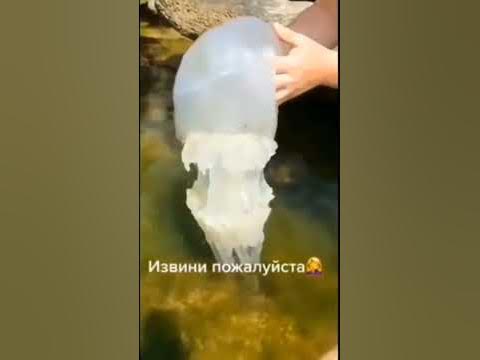 Внезапный деп #14 - YouTube