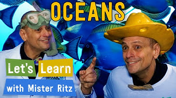 Learn about Ocean Environments 🌊 | Let
