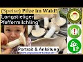 Langstieliger Pfeffermilchling - (Speise) Pilze mit Besonderheiten - Pilze im Portrait im Juli 2023