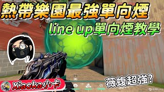 🎡熱帶樂園最強單向煙💨薇蝮Viper Lineup系列來了‼️-XiaoKa小卡