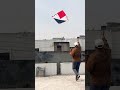 4 tav kite flying nagpur kite market #shorts #kiteground #kiteground #kitecutting #nagpur