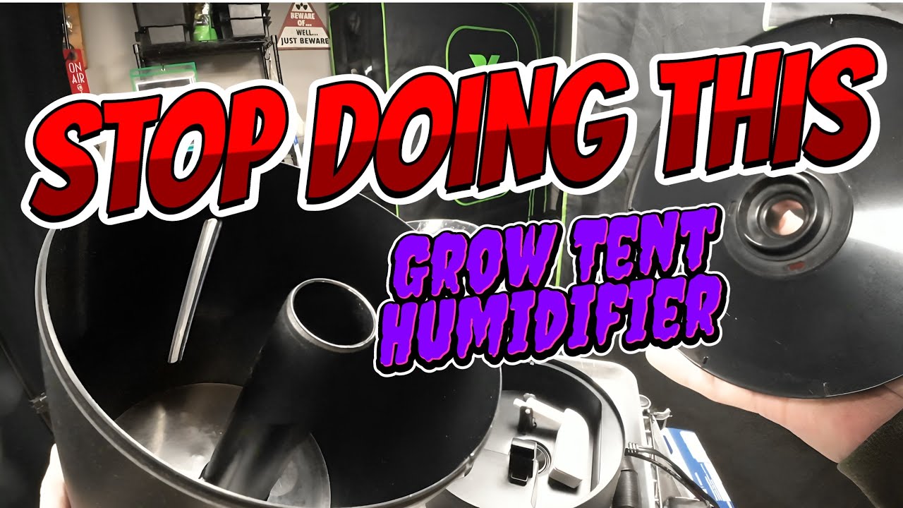 Одна-единственная ошибка при использовании гроутента может привести к болезни.