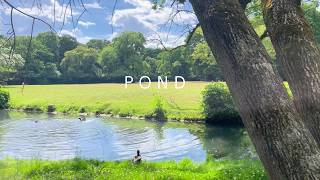No Music Pond Ambience  |  ASMR Nature Sounds for Sleep and Relaxation