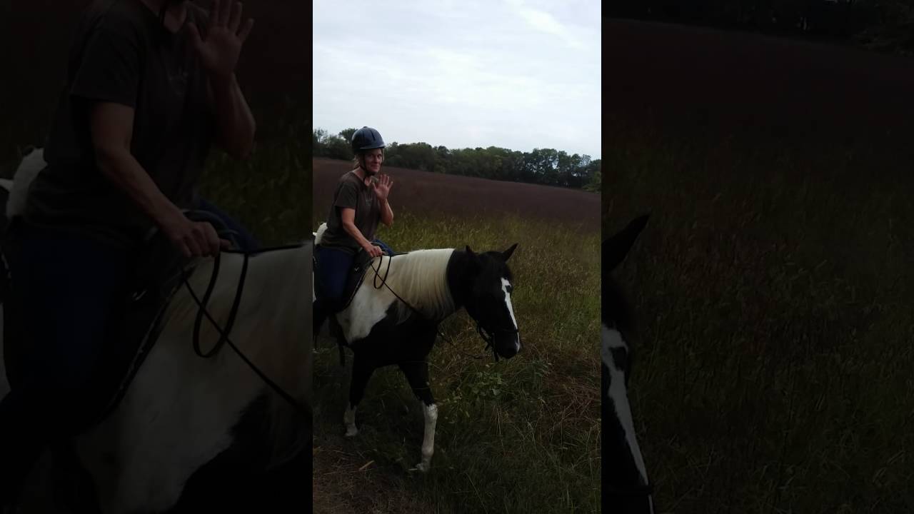 Paisley trail ride YouTube