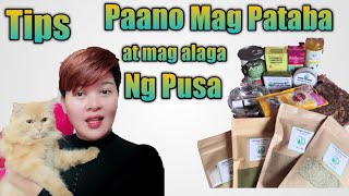 Tips Paano magiging healthy ang Pusa by MeowmyRein 86,643 views 3 years ago 29 minutes