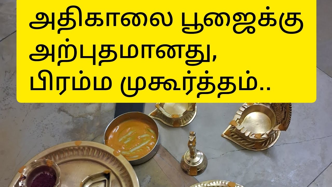 #poojavlogs "Family Pooja Vlog | A Day of Devotion & Togetherness ...