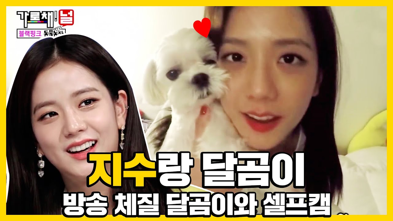 블랙핑크 지수의 반려견 달곰이🐶 공개! 방송 체질 달곰이와 지수의 셀프캠💕ㅣ가로채널(We Will Channel You)ㅣSBS ENTER.