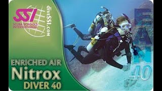 Celebrity What is Nitrox? Free Enriched Air Nitrox Level 2 (40%) Class - Review Class Net Worth
