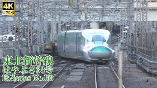 東北新幹線E5系U3編成 はやぶさ33号 240101 JR Tohoku Shinkansen Tokyo Sta.