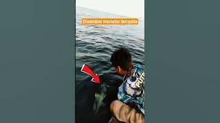 Hard strike of shallow sea monster fish #fishing #basic macing #fishing #fish #fishingmania