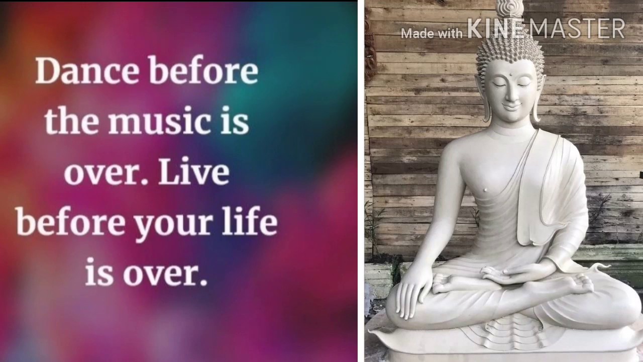 Meaningful Buddha Quotes - YouTube