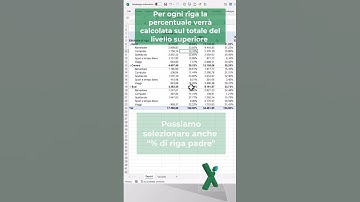 EXCEL TRUCCHI: 🧑 🧮 Tabelle Pivot percentuale riga padre #shorts  #excel #exceltips