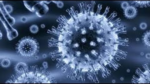 What if every microbe disappeared?