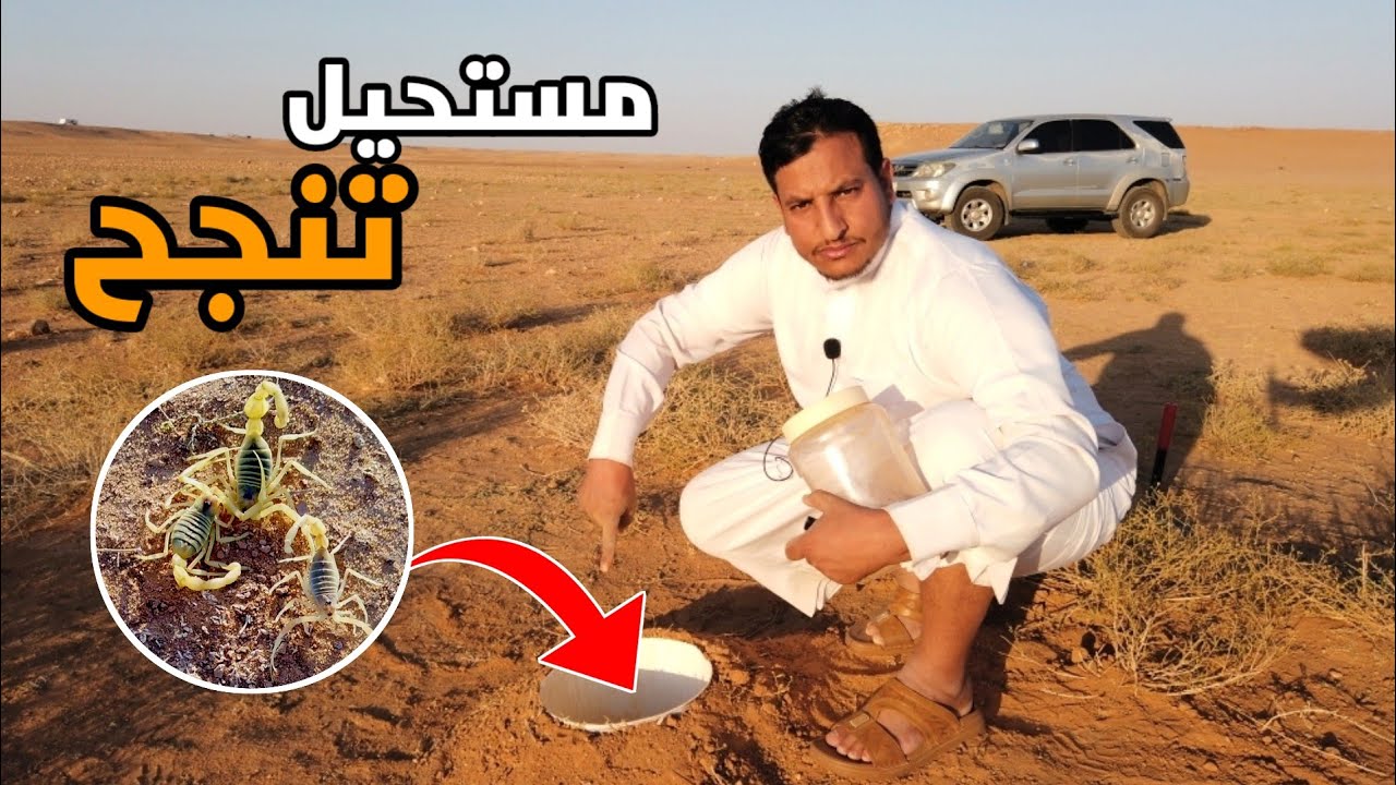 ما كنت متوقع انها تنجح صيد العقارب