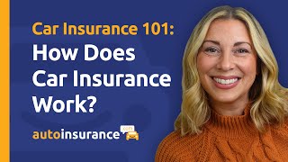Car Insurance 101: How Does Car Insurance Work? Net Worth