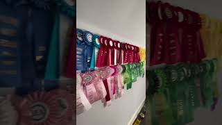 finally got around to doing this and i’m SO happy w how it turned out 💗 #fypシ #ribbon #horse Profile