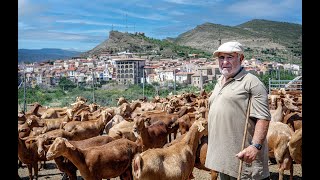 Un paseo por la Granja de Cabras de Sote