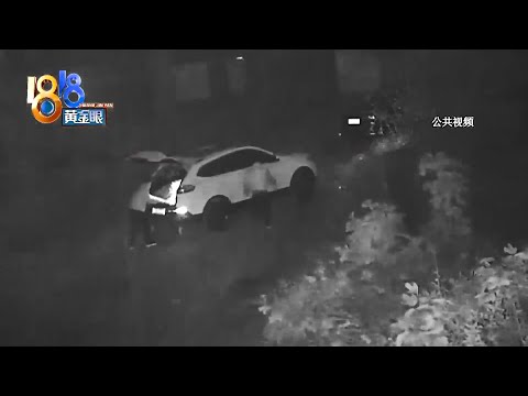 【1818黄金眼】俩男子为吃火锅去地里偷芹菜，一整块地被拔光