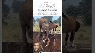 friendship #video #viral #life #allah #help #like #nice #reels #funny #share #shorts #love #ma