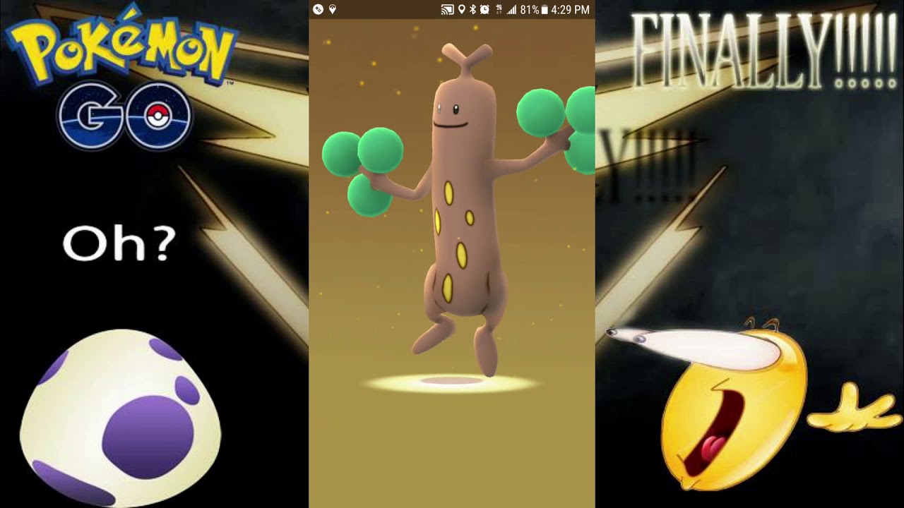 Nine 10k Hatching and Then....