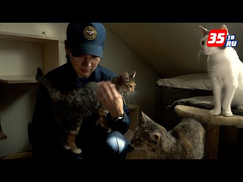 Сотрудники МЧС помогли животным в «Приюте надежды»