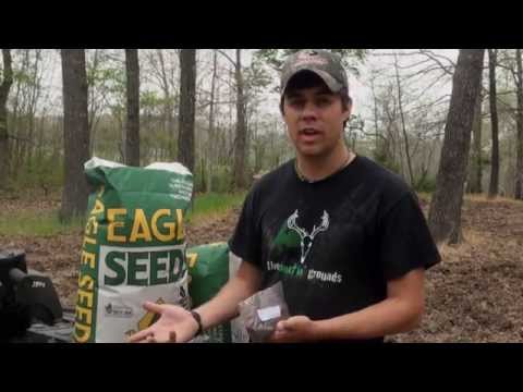 How to Plant Spring Food Plots : Soybeans : The Huntin Grounds