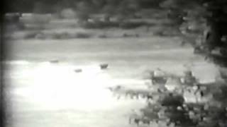 clip4
