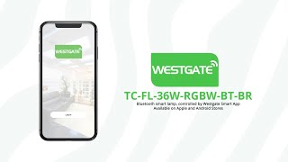 Westgate MFG - Bluetooth RGBW Color Changing-Westgate Smart App screenshot 4