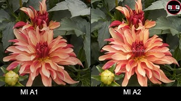 MI A2 Vs MI A1  Camera Test Comparison - under best price
