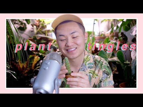 plant-&-cactus-asmr-|-my-first-asmr